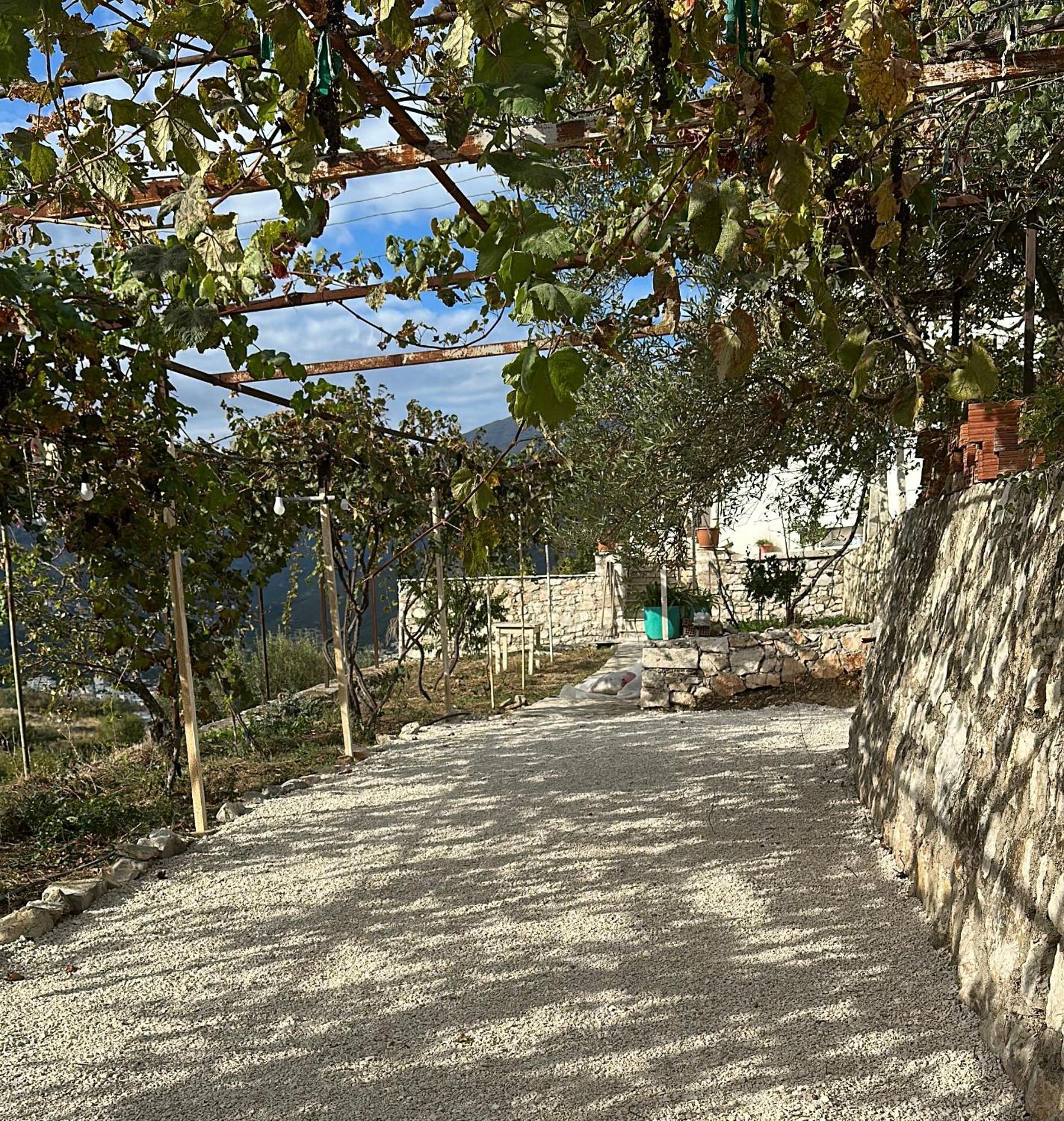 הימארה Hostel On The Hill - By Filikuri Beach מראה חיצוני תמונה